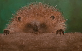 Igel