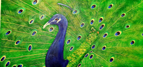 Pfau